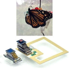 Butterfly with a Michigan micro mote tiny tech machine on its wing