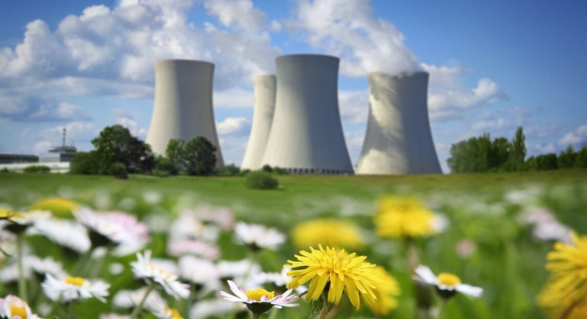 happy little nuclear stacks with green fields of flowers and blue sky