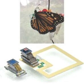 insect tracking with micro-battery powered sensors from city labs
